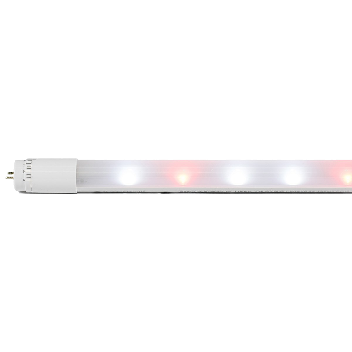 GE ARIZE™ T8 LED Tubes + Driver