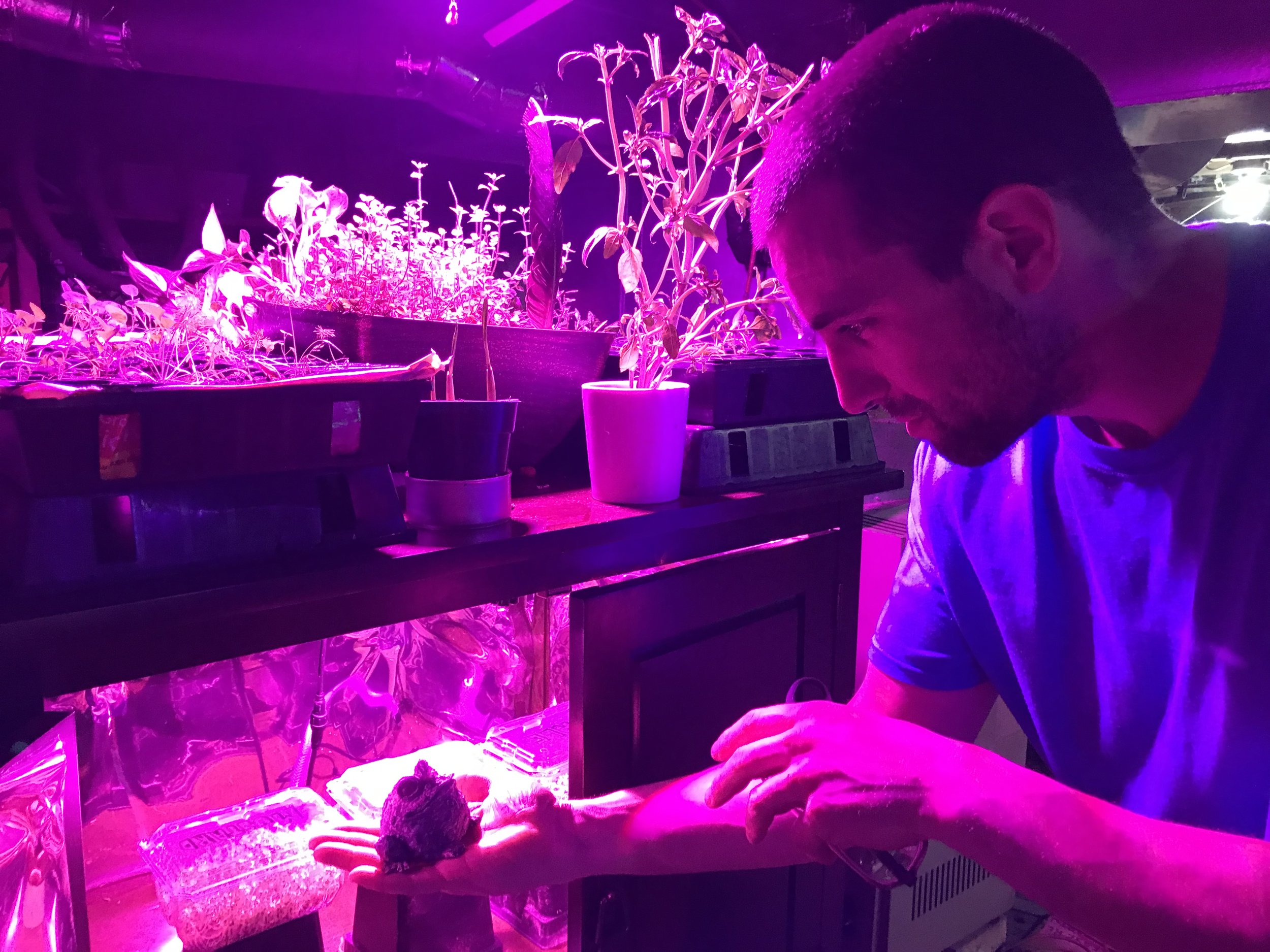 Charles O’Neill working on his personal hydroponic garden at home
