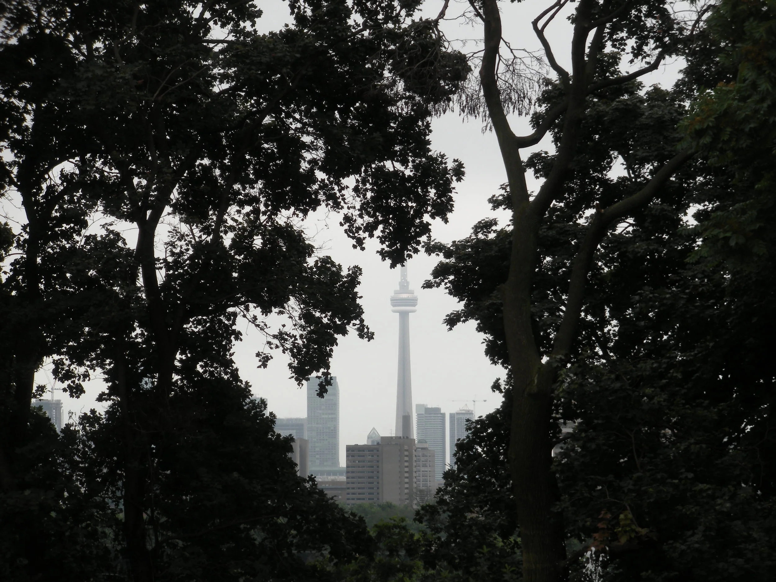 DSCN2988.JPG