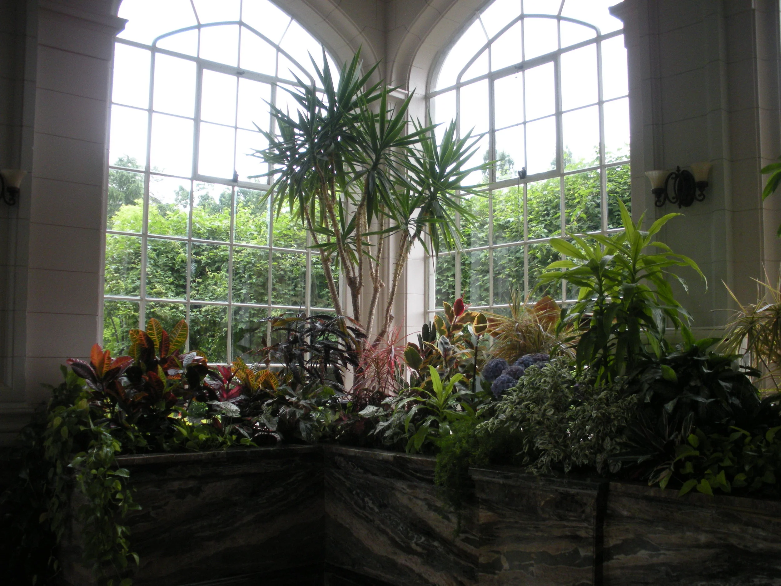 DSCN2992.JPG