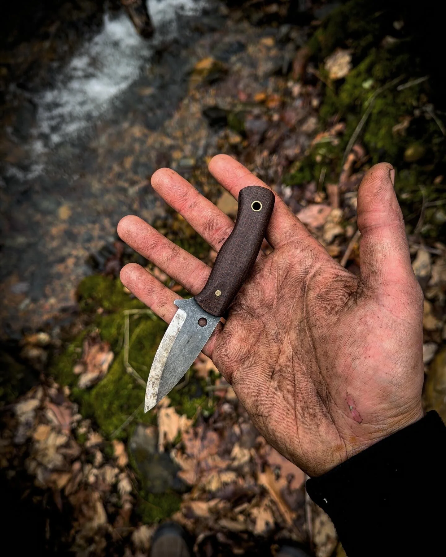 E56C8C78-3A9E-40CD-A3C9-150FB92EC4E5