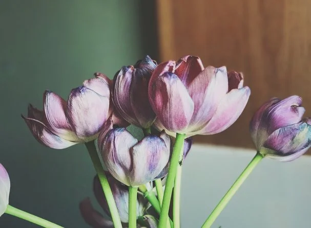 (did the pretty flowers soften the blow?)