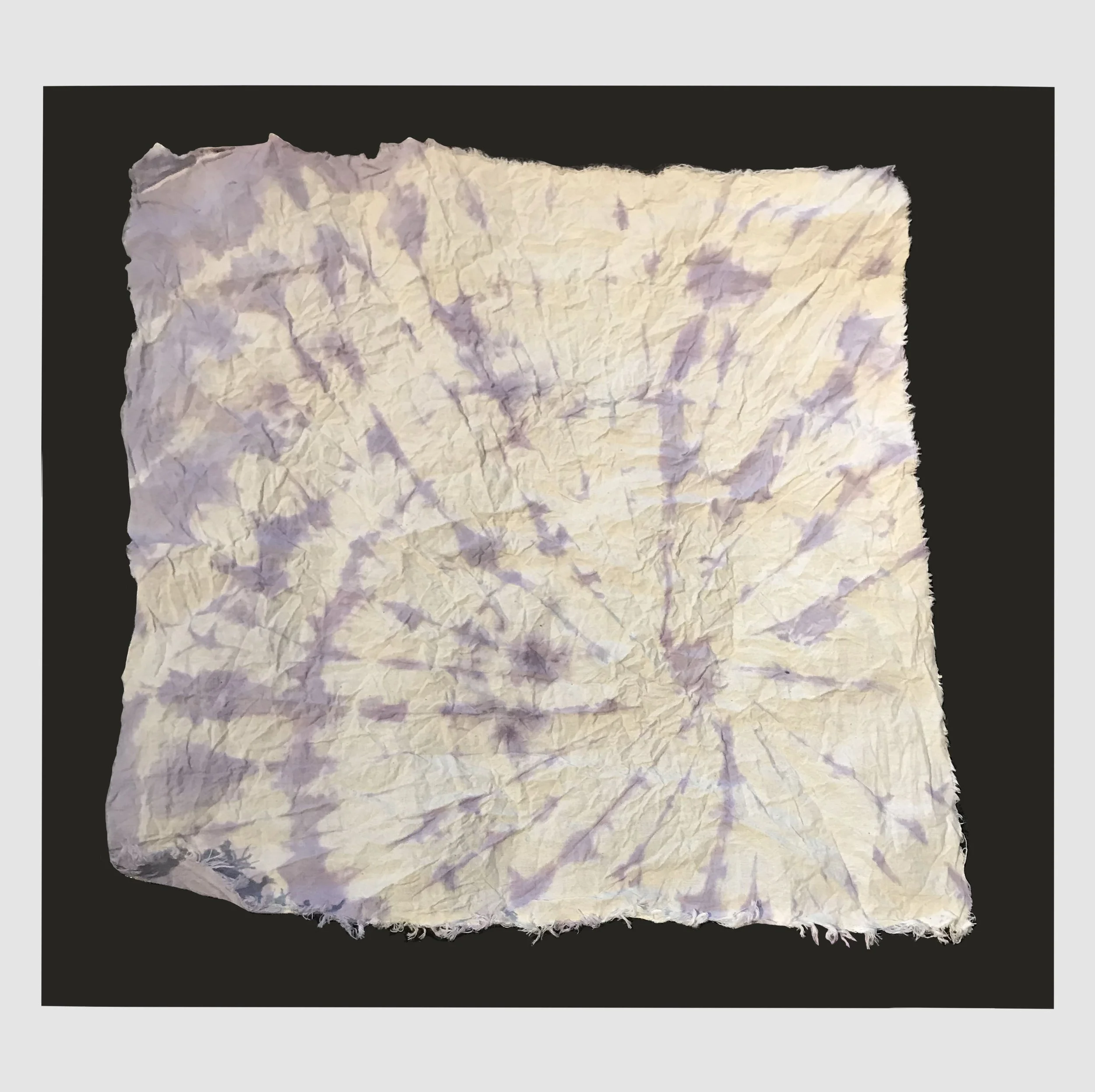 Untitled_Artwork 8.jpg