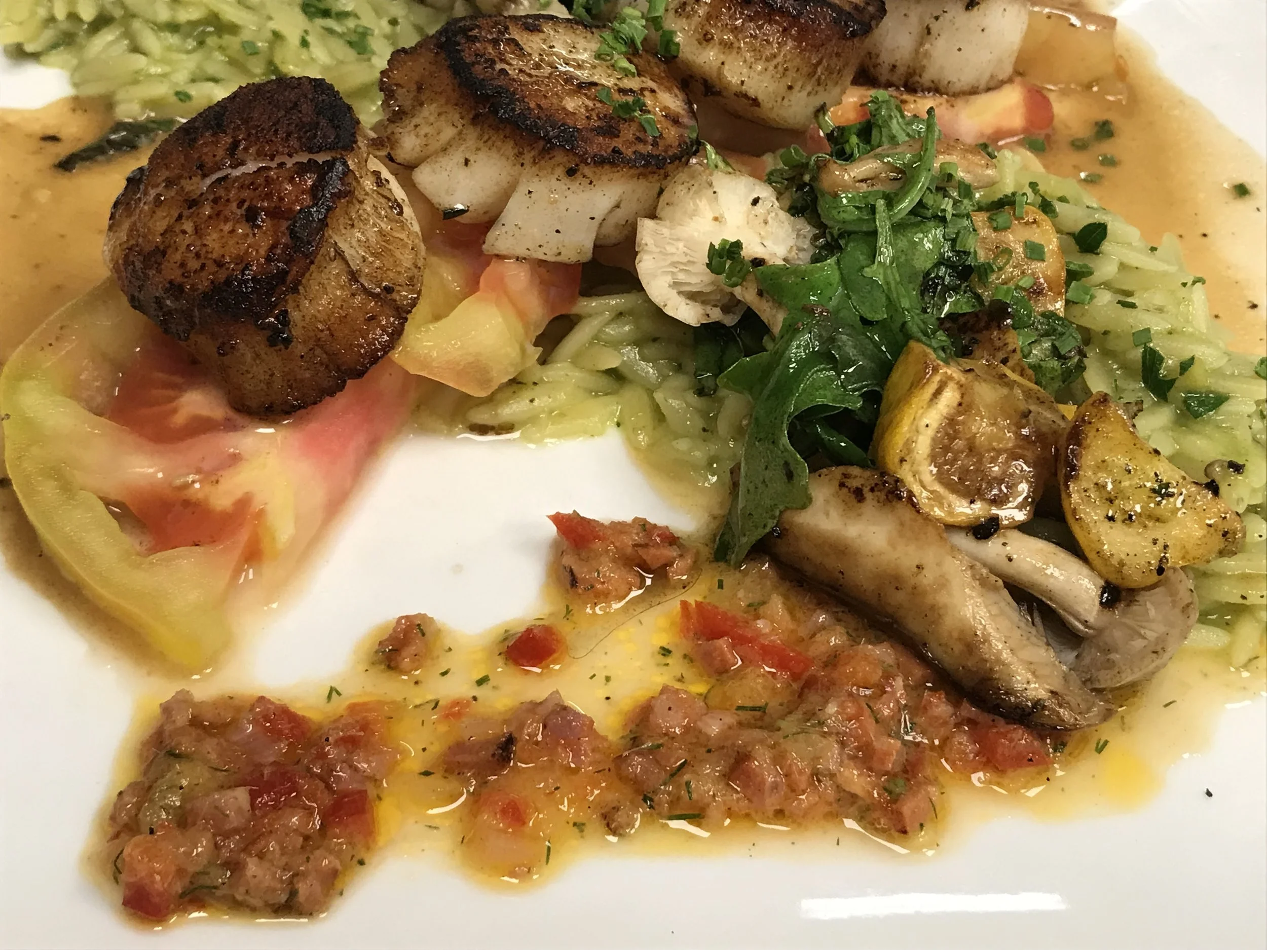 scallops summer 2019.jpg