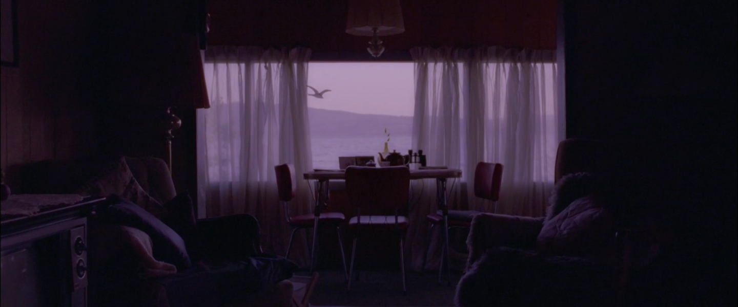 Never Steady, Never Still - dir. Kathleen Hepburn