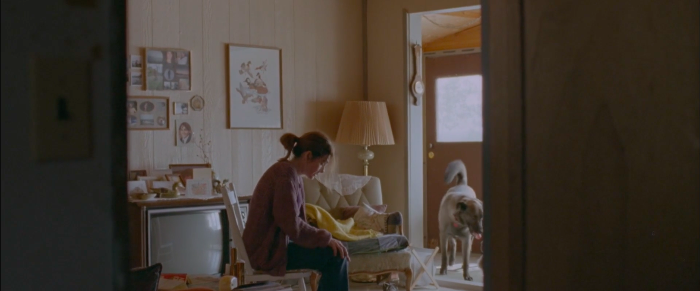 Never Steady, Never Still - dir. Kathleen Hepburn
