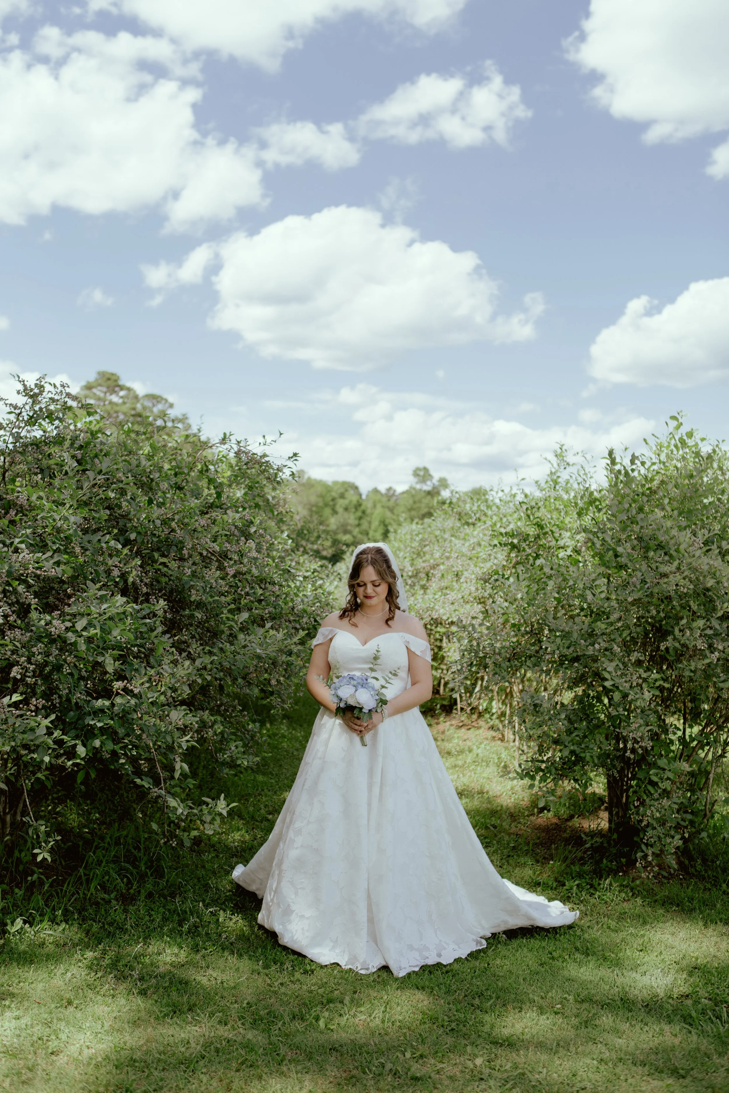 Nguyen-102.jpg