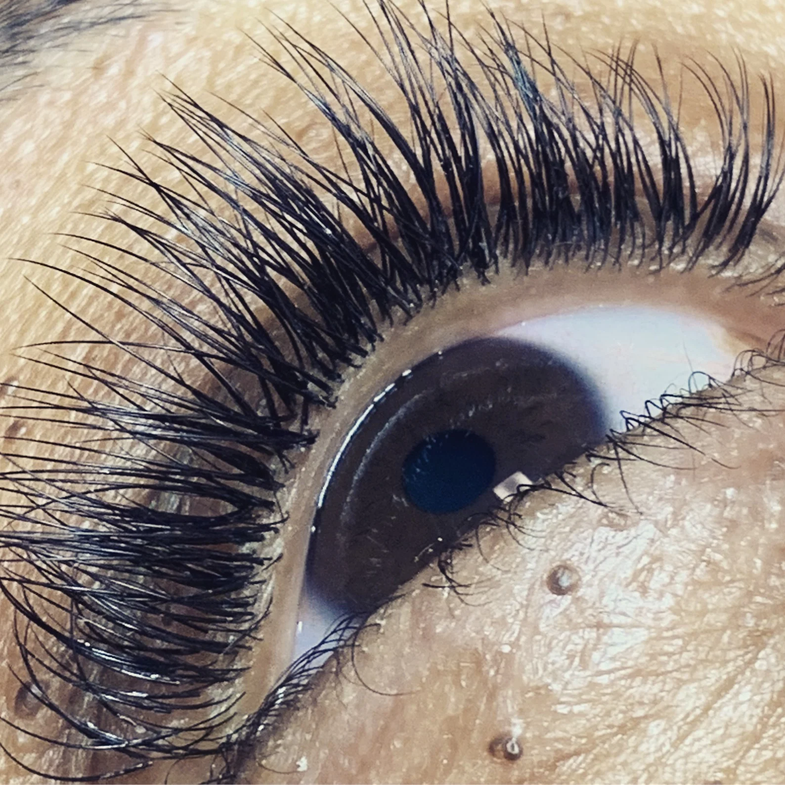 Eyelash Extensions - VIP (Full Set)
