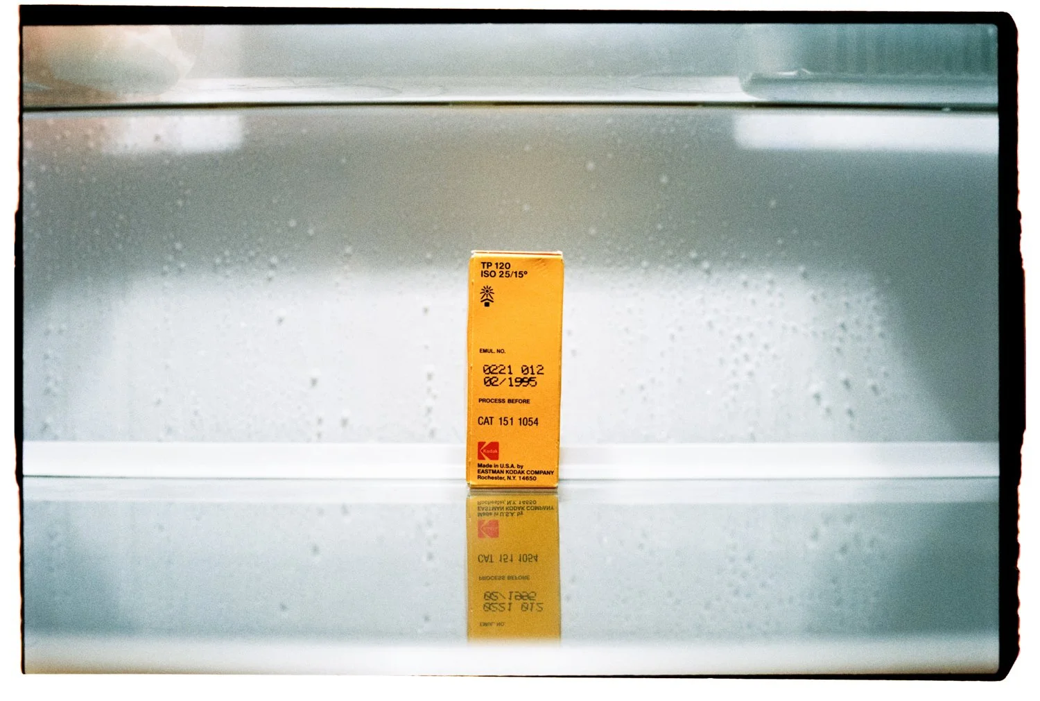 Fridge-82.jpg
