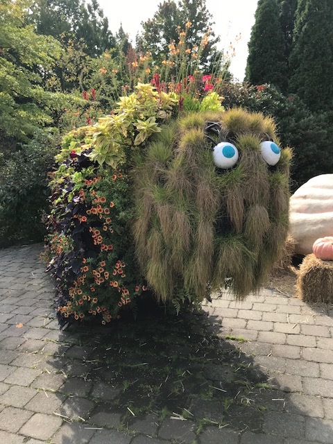 Everything's adorable at the Everett Children's Adventure Garden