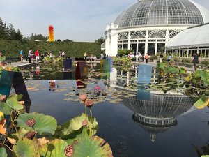 IMG_4354.jpg
