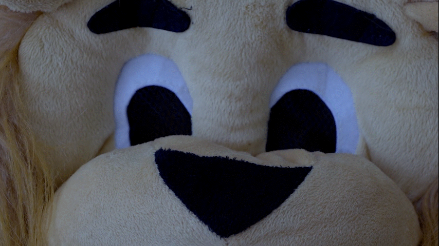 Lion_Short_Film_5.gif