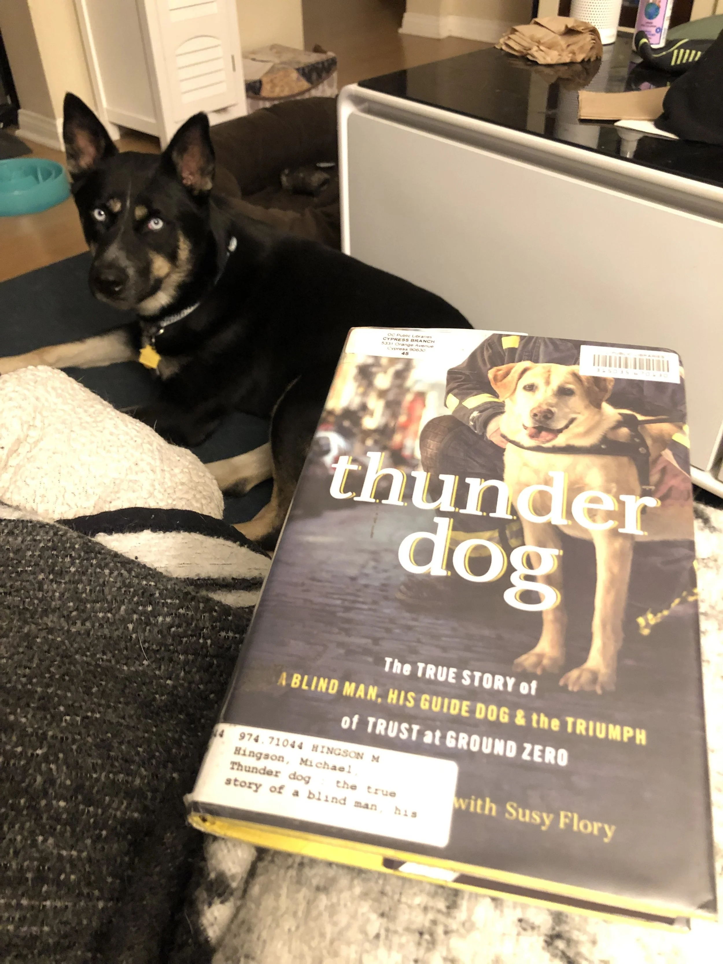 "Thunder Dog", A Review and Personal Anecdote