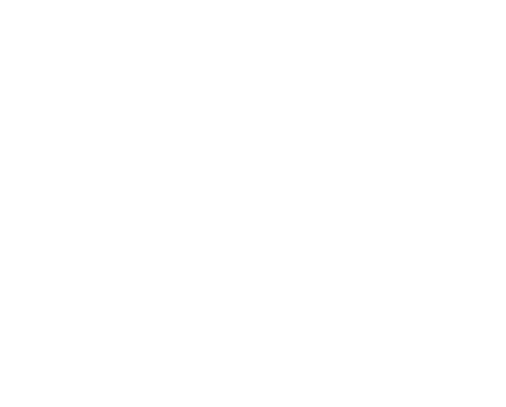 CYBER_BOUCLIER_WHITE.png