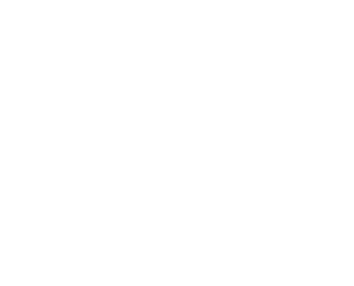 CYBER_ERLEMEYER_WHITE+DER.png