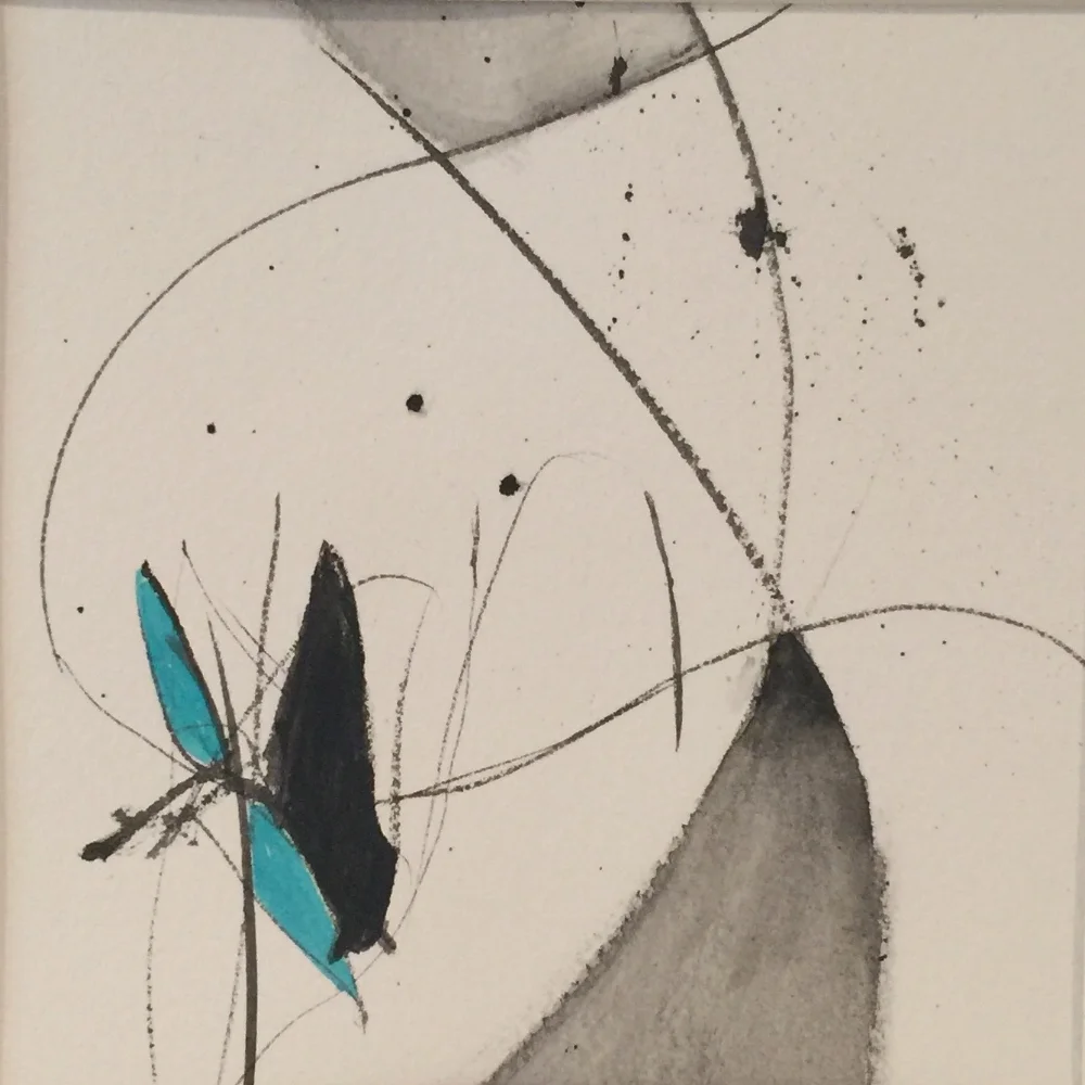 Momentum Series