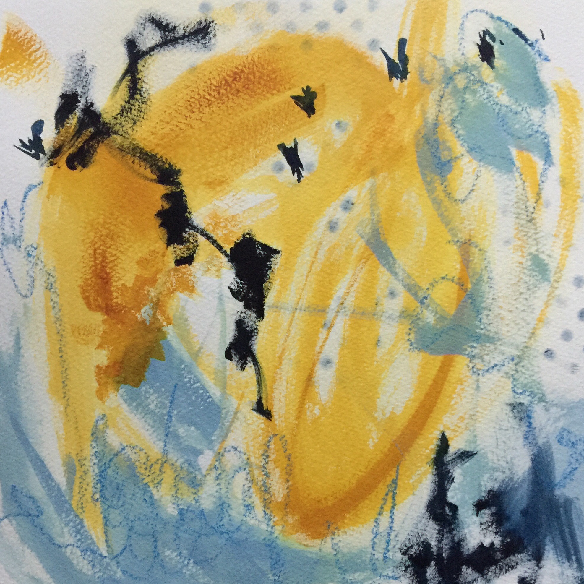 As the Crow Flies #3