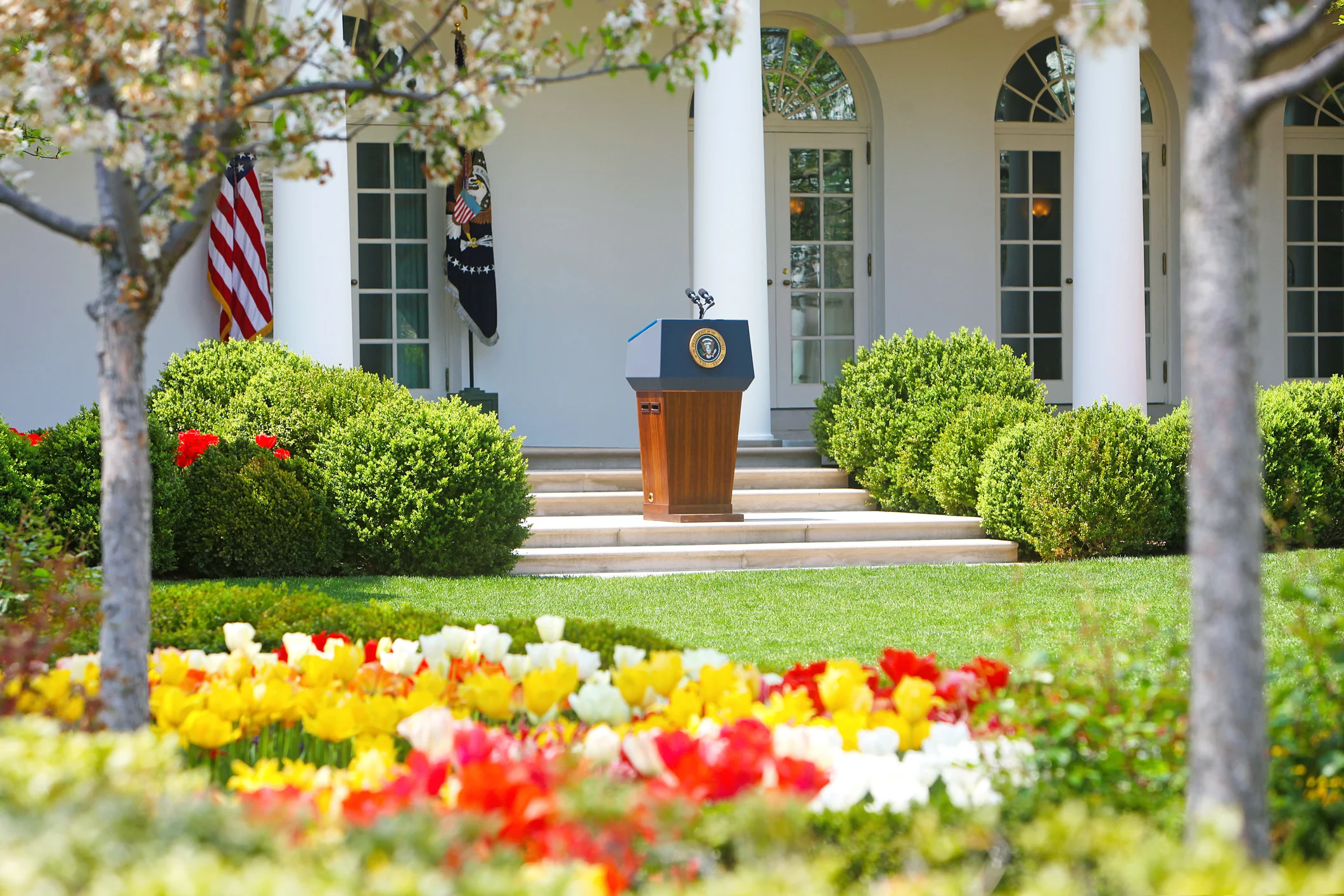 The Executive Branch