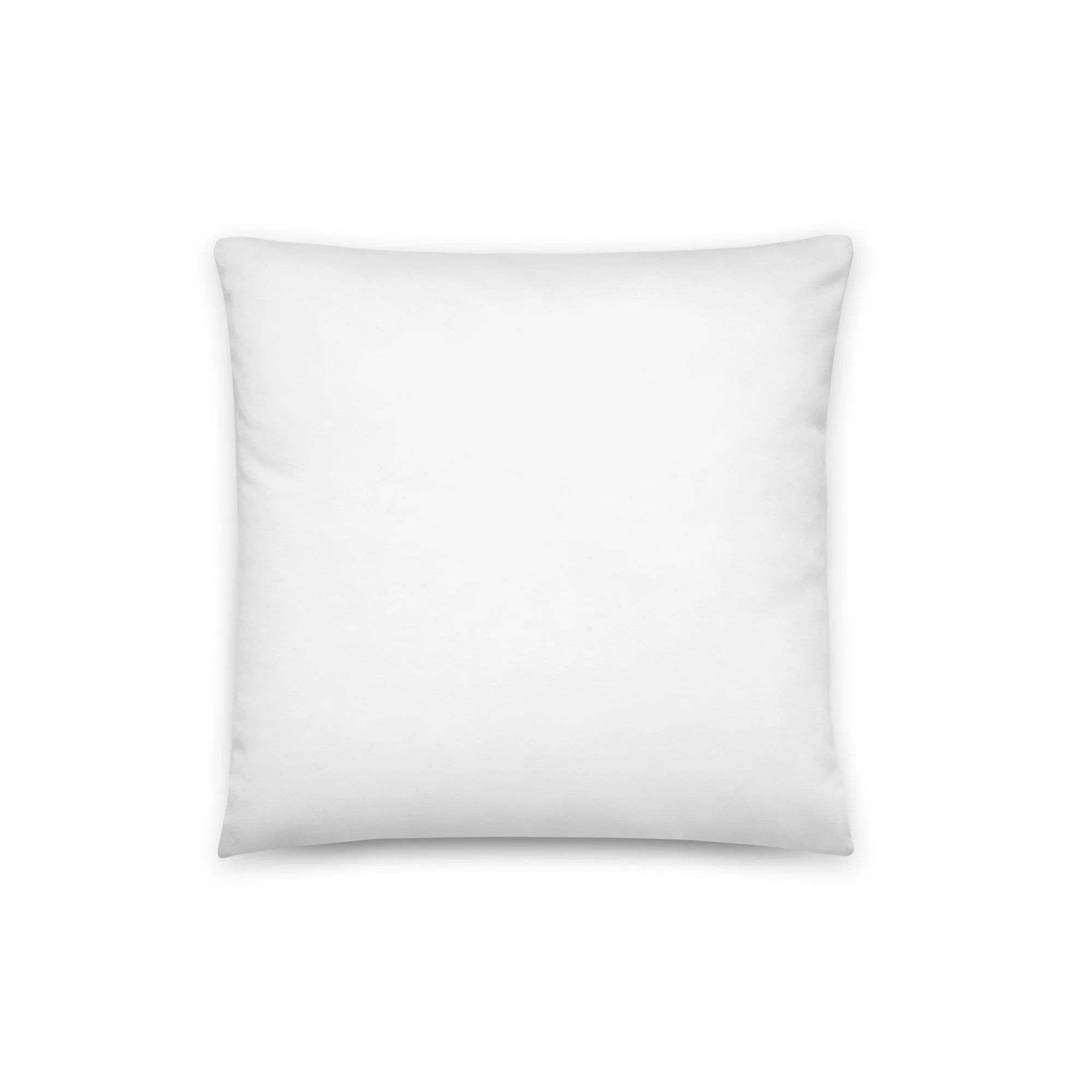 all-over-print-basic-pillow-16x16-back-6a8f56c368689.jpg