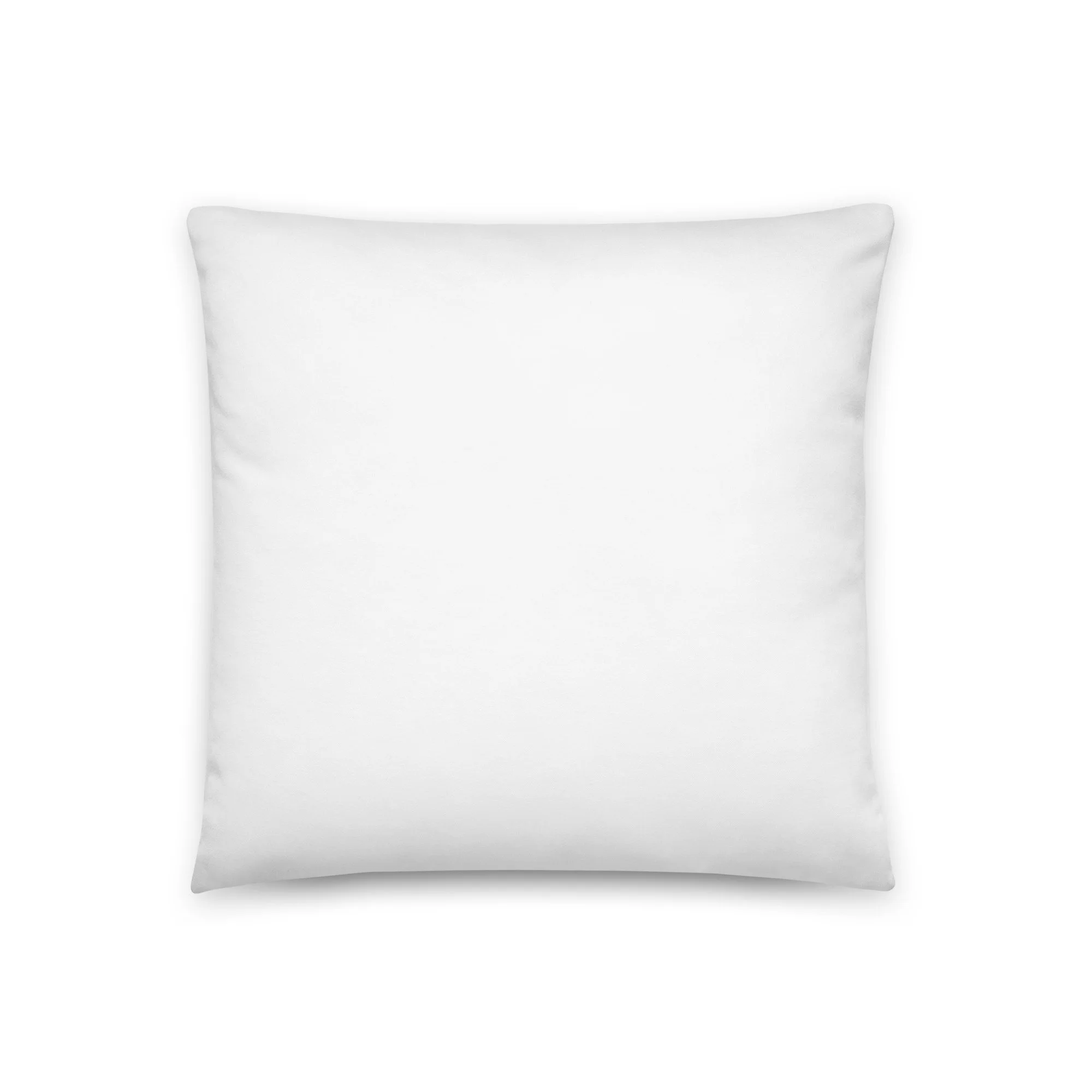 all-over-print-basic-pillow-18x18-back-6a8f56c3686e0.jpg