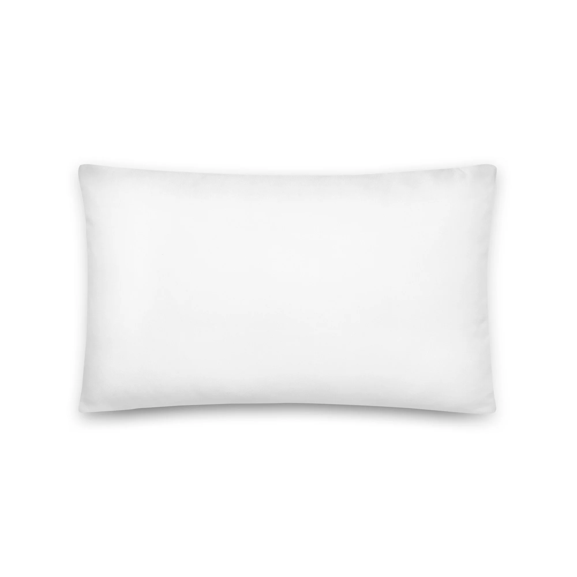all-over-print-basic-pillow-20x12-back-6a8f56c368828.jpg