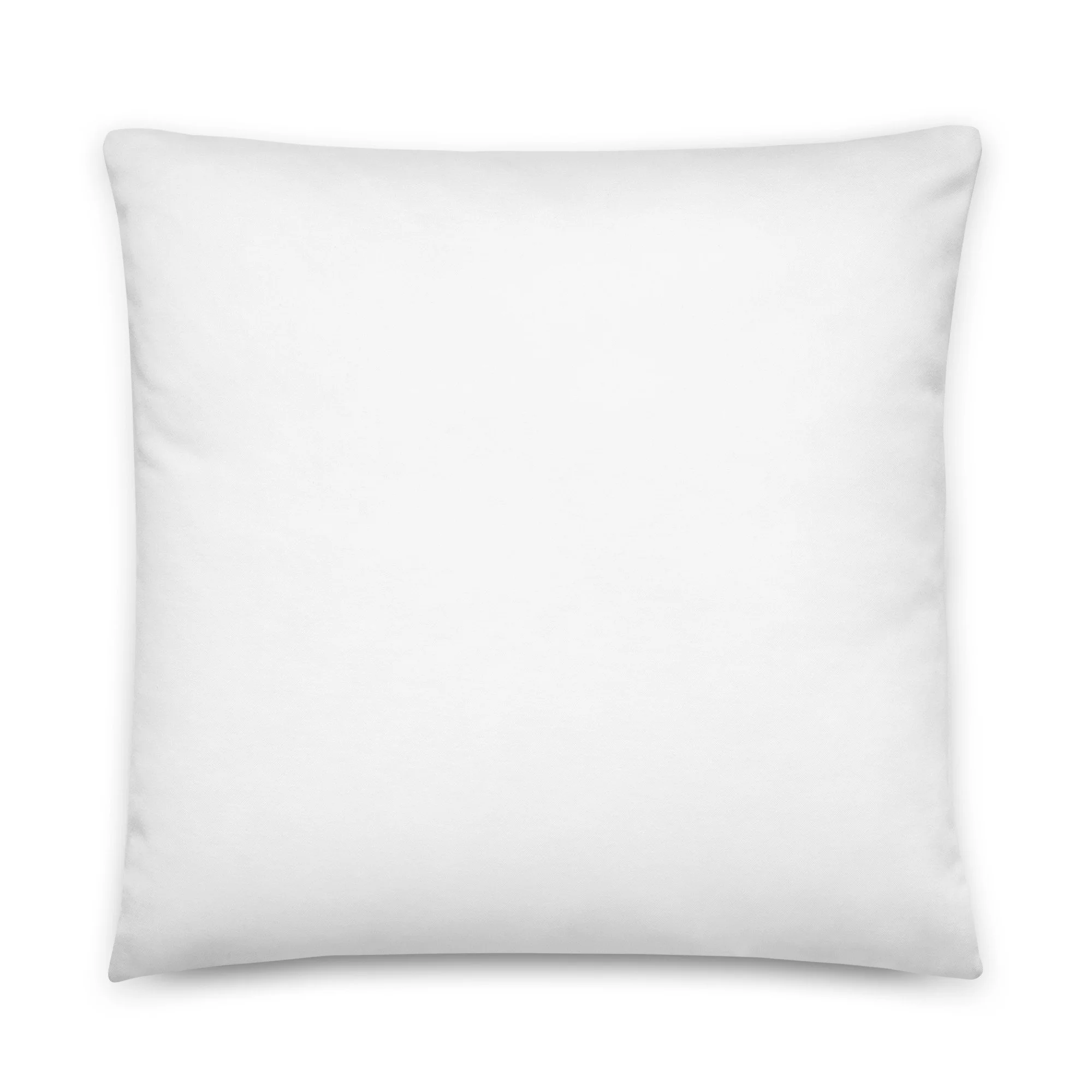all-over-print-basic-pillow-22x22-back-6a8f56c368976.jpg