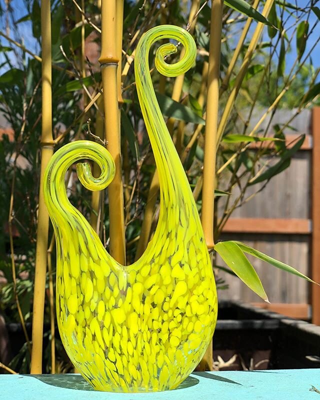 ITS MY BIRTHDAY! So I thought I would do a #GIVEAWAY on my birthday. This time I&rsquo;ll be sending the art prize to anyone who has a birthday in April/May/June. To WIN this Yellow Fiddlehead : Glass Sculpture🌬🌬🌬🌬🌬🌬🌬🌬🌀Follow Me @rachelescoe