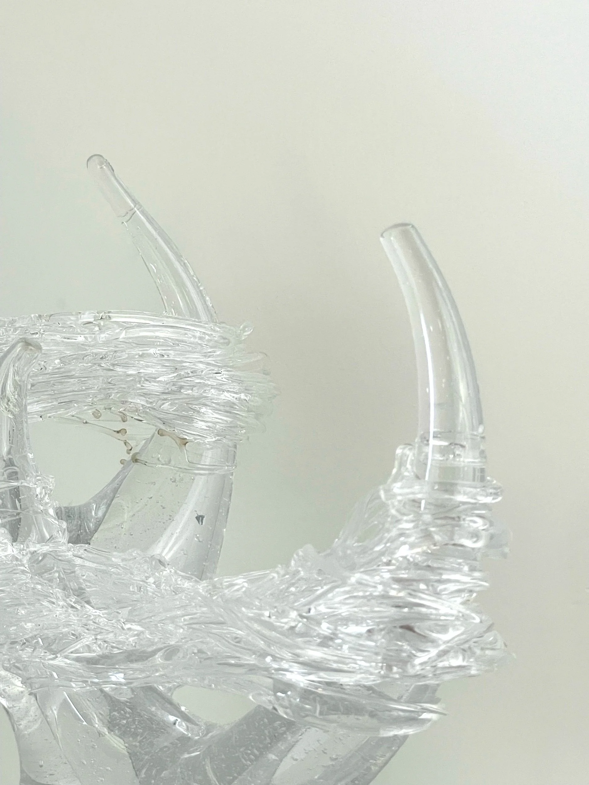 Harvesting Wind Series 