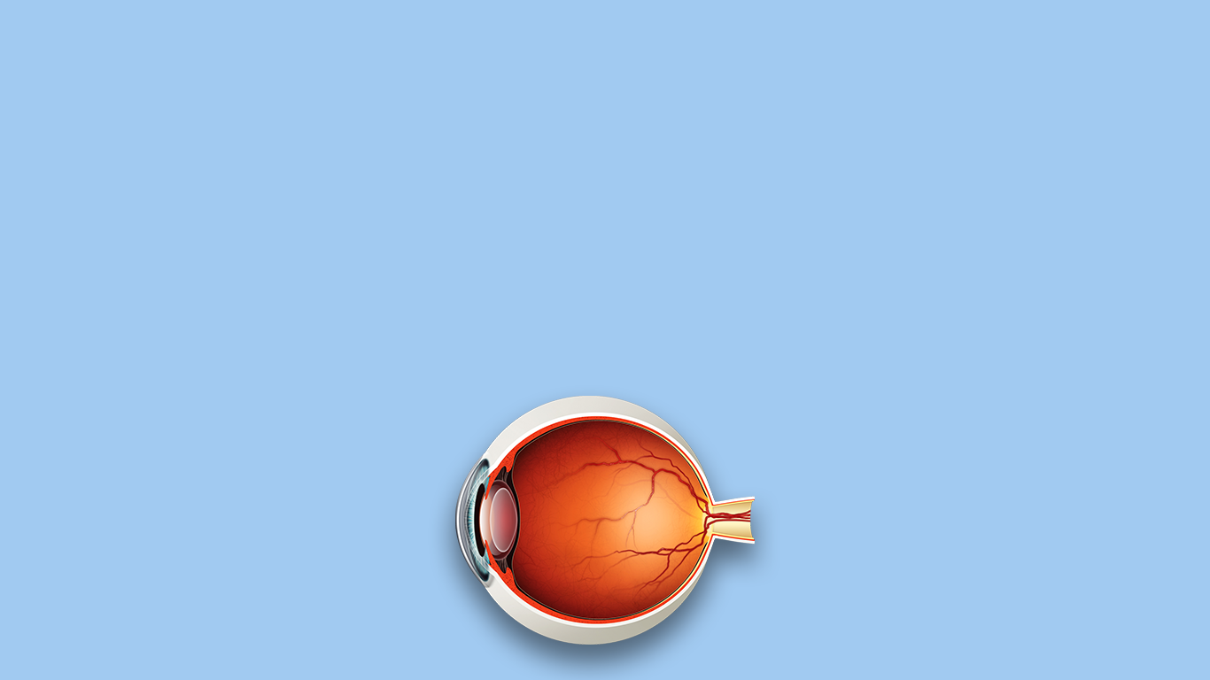 Welcome backgroundpng.png