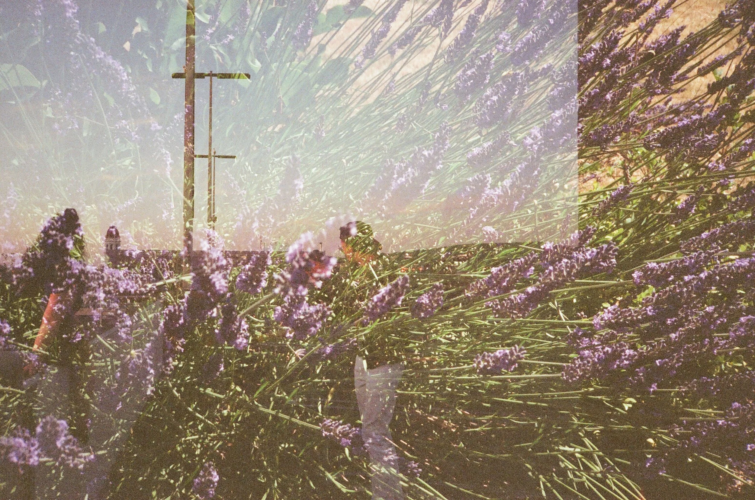 03.JPG