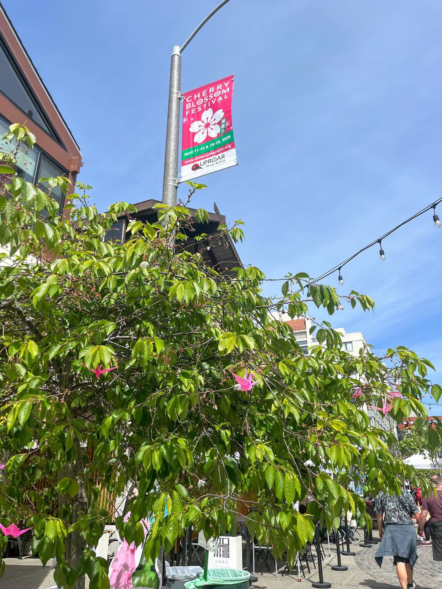 CHERRY BLOSSOM TREE CRANES 🌸

Make sure to visit the Osaka Way cherry blossom trees to catch the decorative cranes provided by @papertreesf while you&rsquo;re in San Francisco&rsquo;s Japantown this weekend! 💕
&bull;
&bull;
&bull;
&bull;
&bull;
#pa
