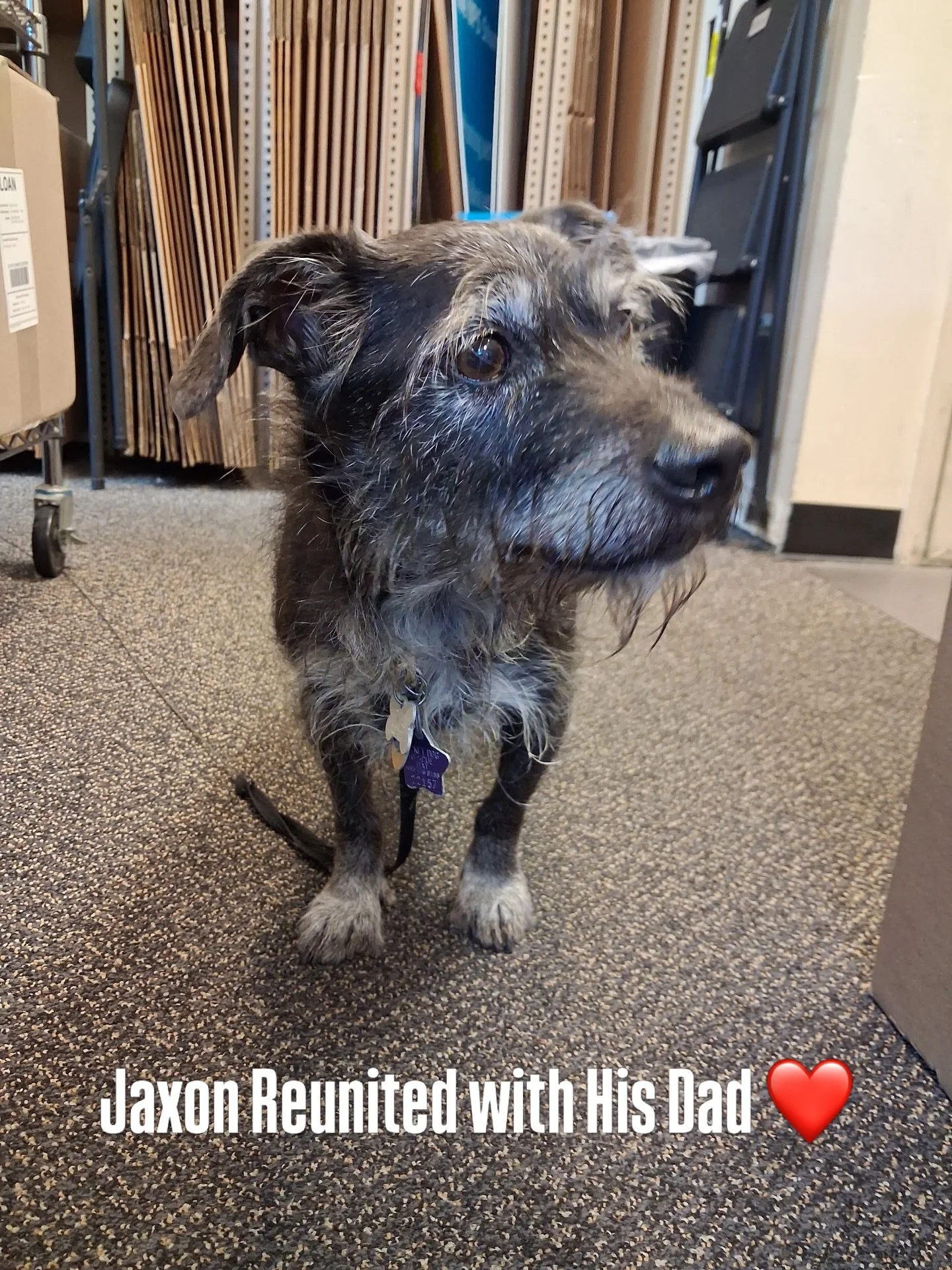 Little Jaxon wandered into the UPS Store in Japantown today. Gotta be grateful to Jessica and the great staff at the UPS Store for watching over him until his Dad came.❤️

Reunited and it Feels So Good.

#upsstore5568 #sfjapantown #jaxonreunited