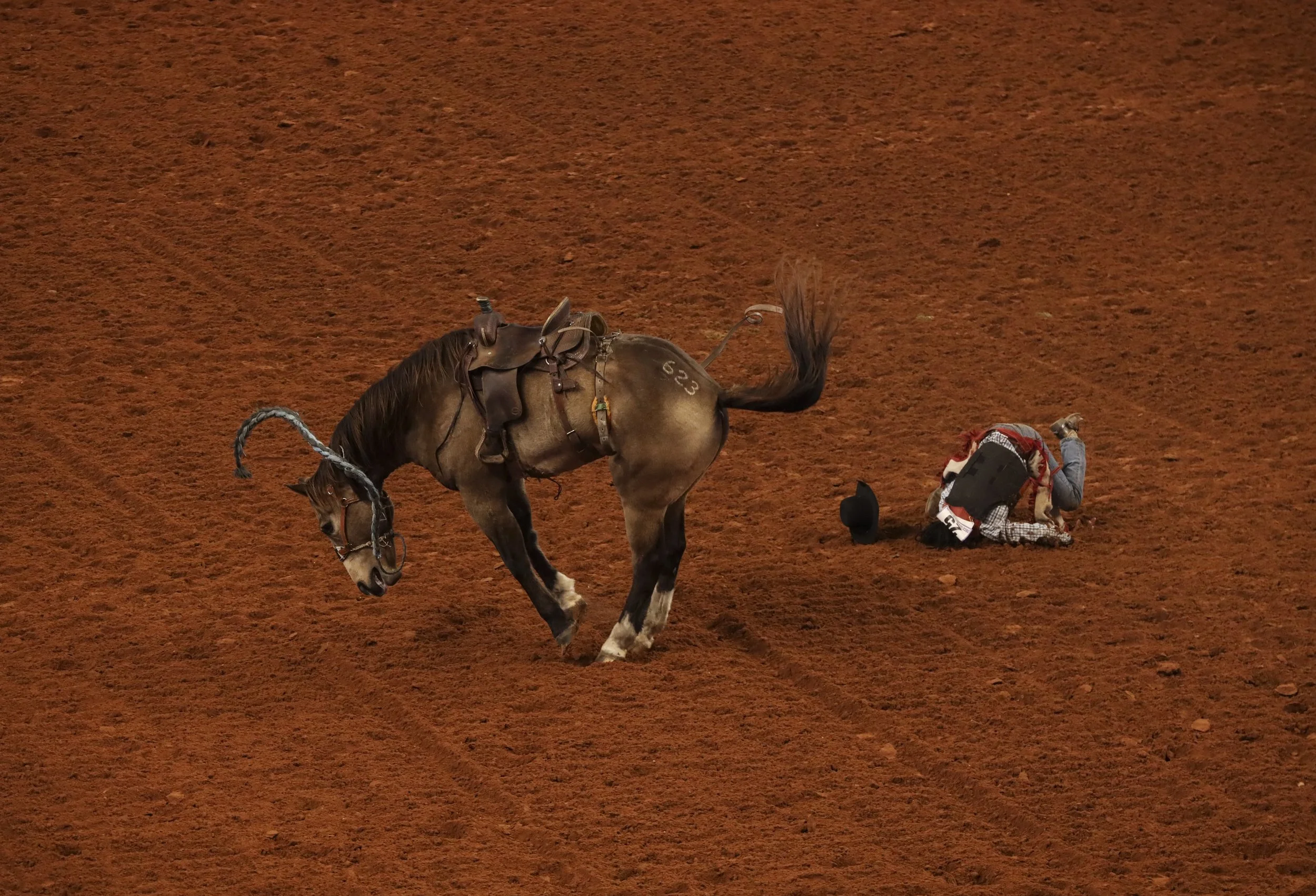 fw stockshow and rodeo_08.JPG