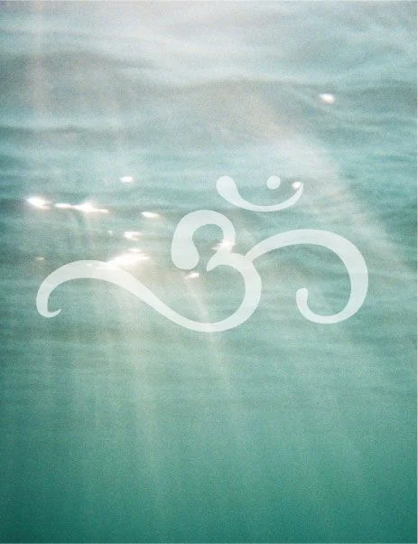ohm.jpg
