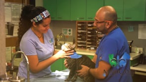 Maricamp Animal Hospital and Equine Performance Center_30