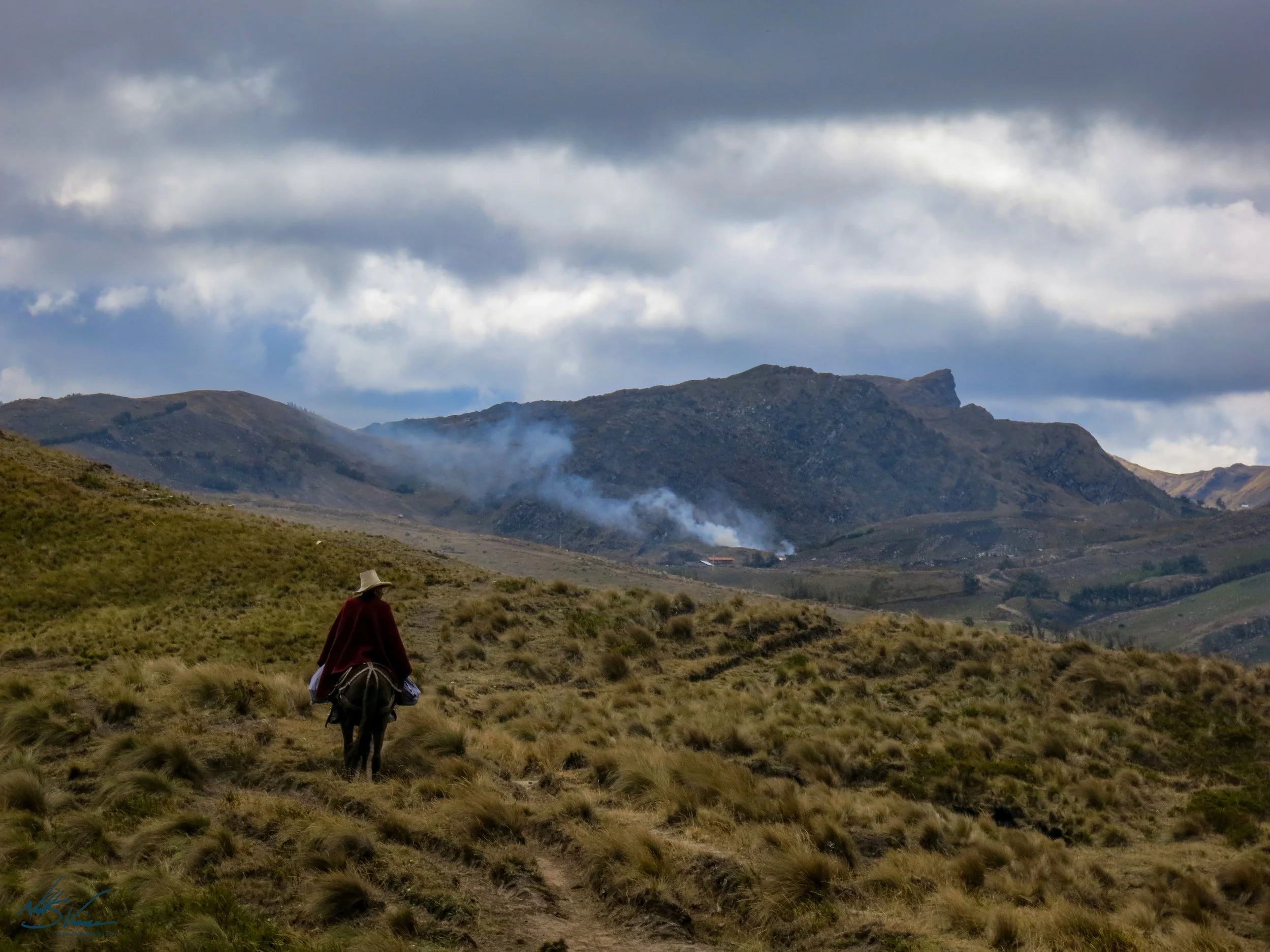 Horses made for excellent transport once the roads end.