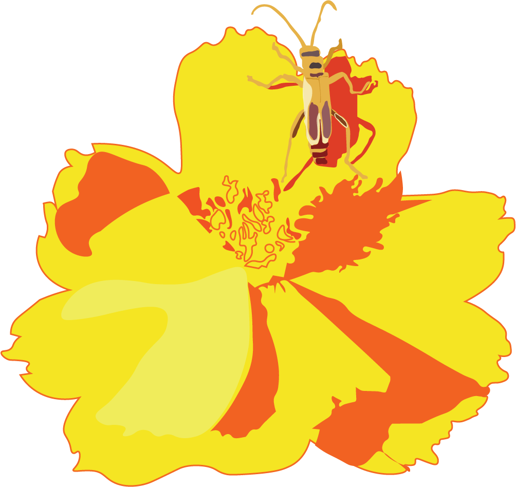 bugflwrAsset 2-8.png