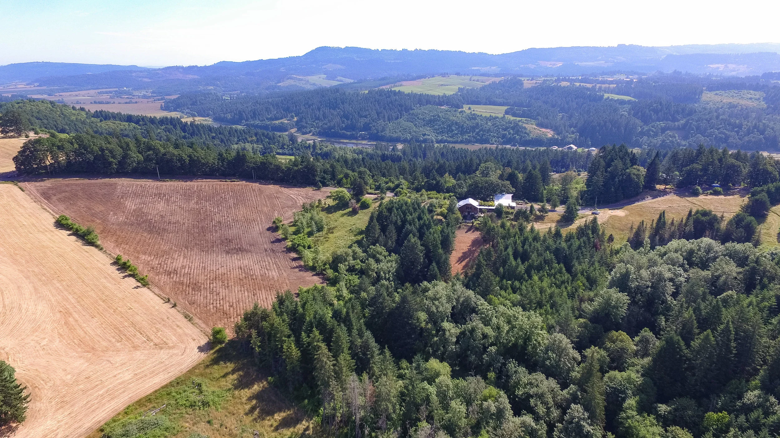 117_61-Birdseye View.jpg
