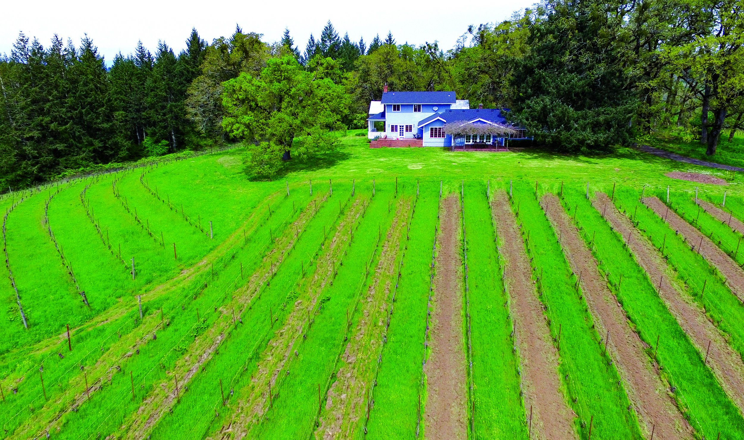 Eighty-four (84) acres of fertile land located in prime Oregon wine country, featuring an historic 1906 farmhouse that dreams are made from; all minutes from town.