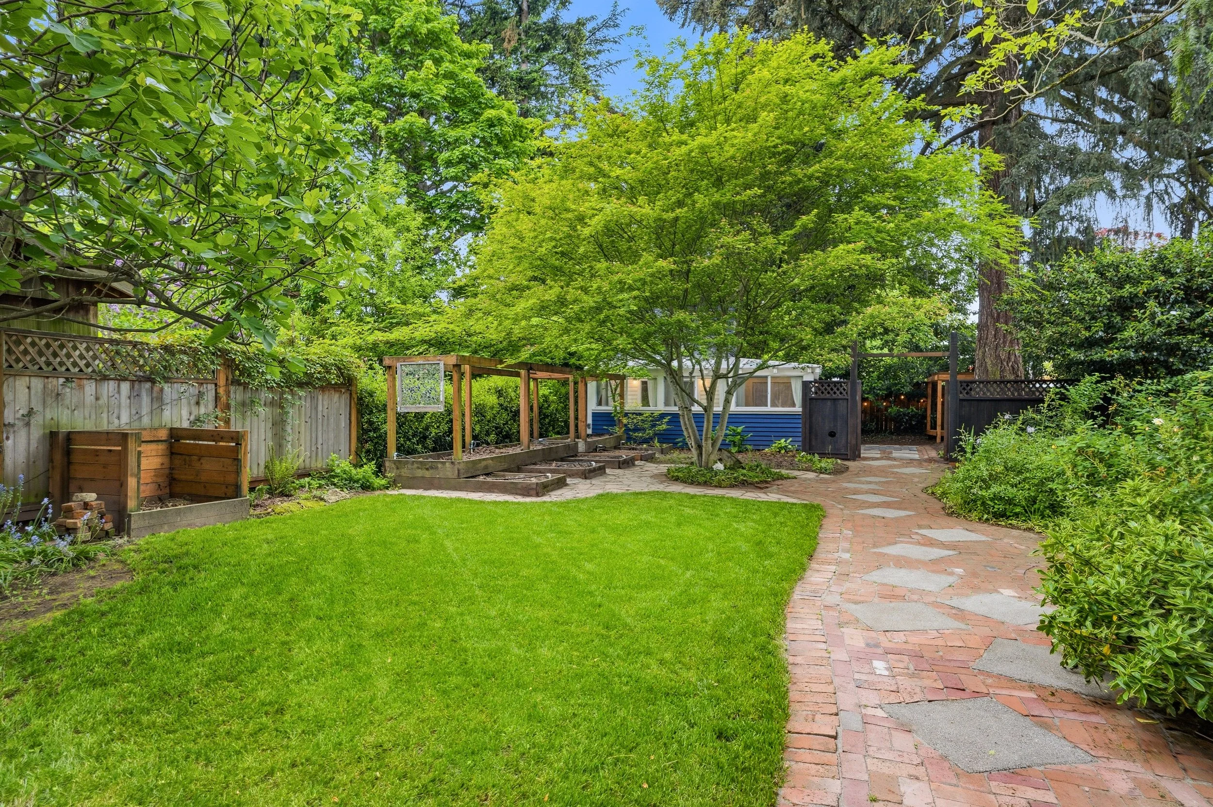 48-print-48 Backyard.jpg