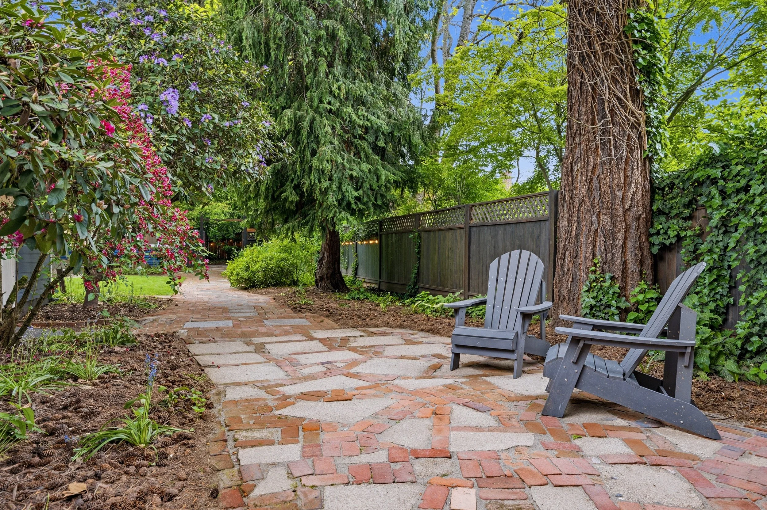 50-print-50 Backyard.jpg