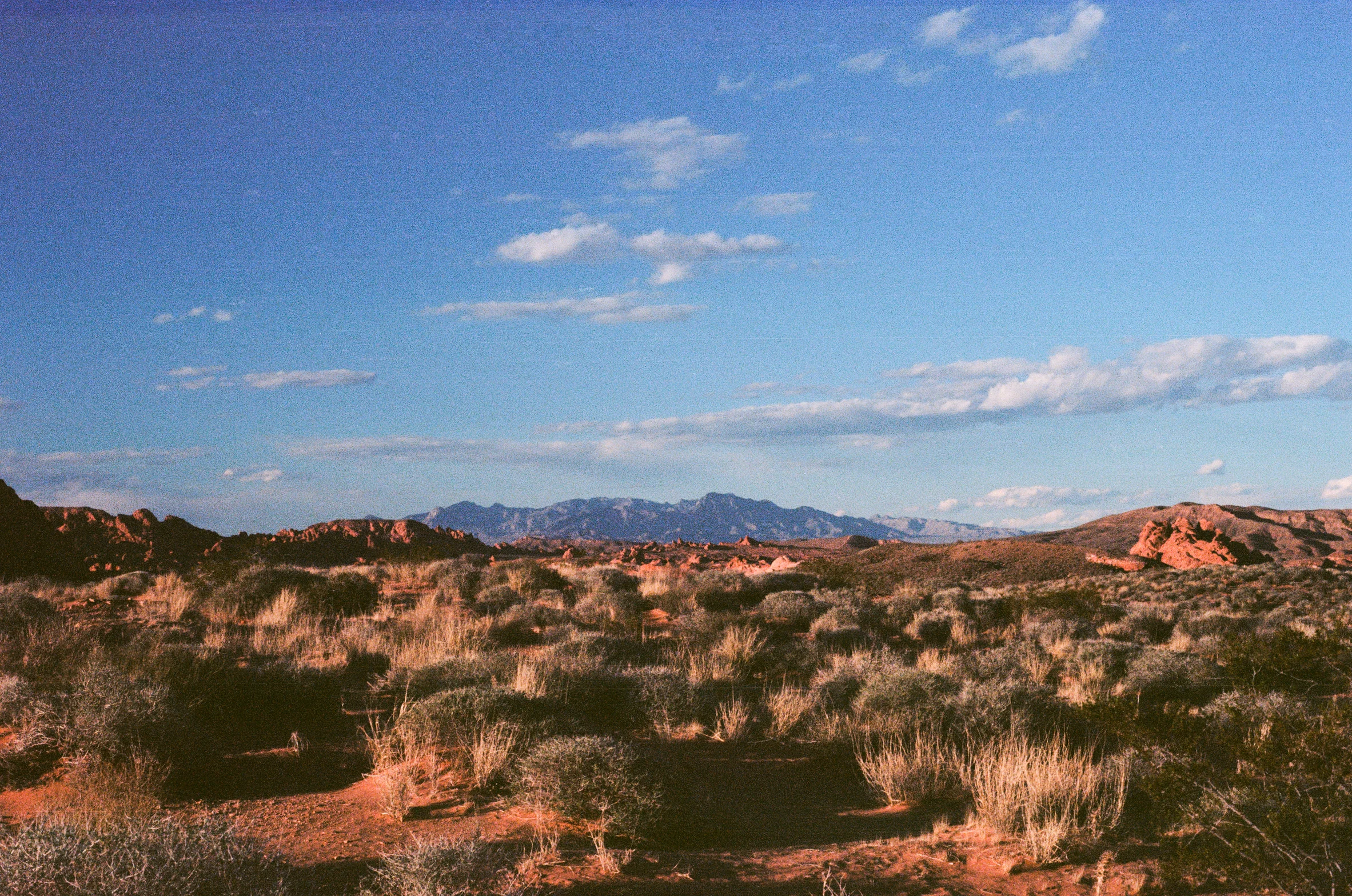 valley.jpg