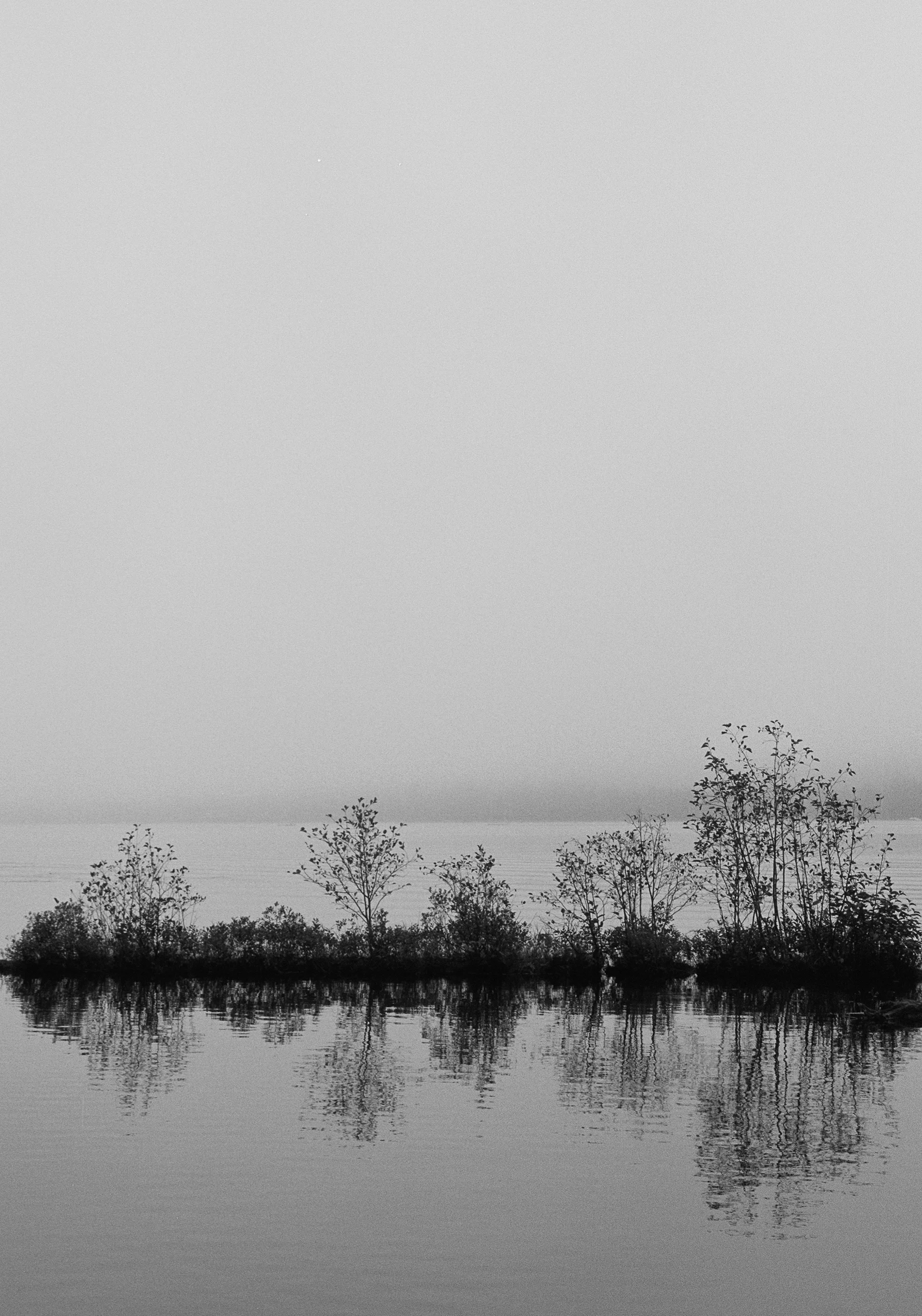 autumnbnw.jpg