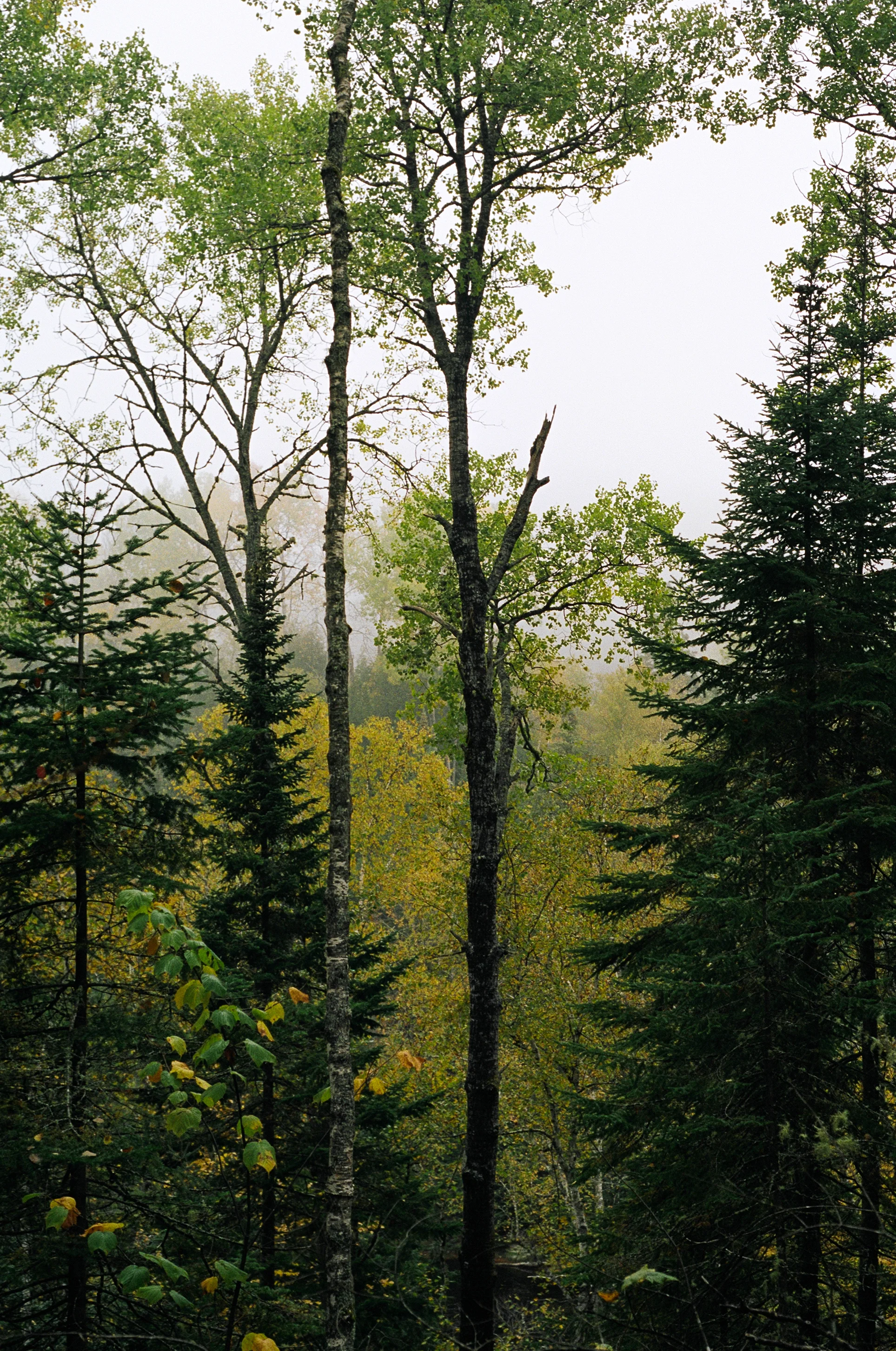 autumn.jpg