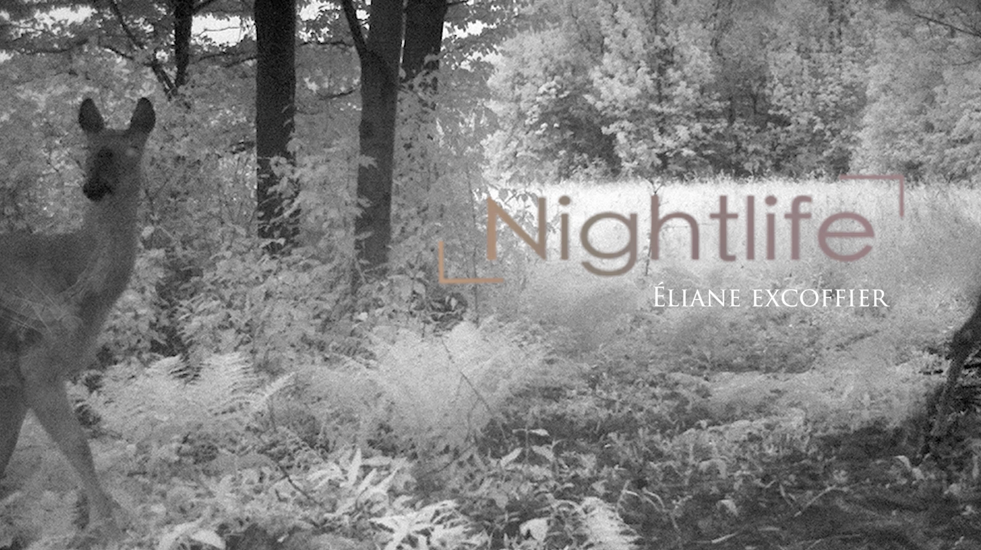 Screen Shot 2018-06-21 at 11.20.10 PM.png