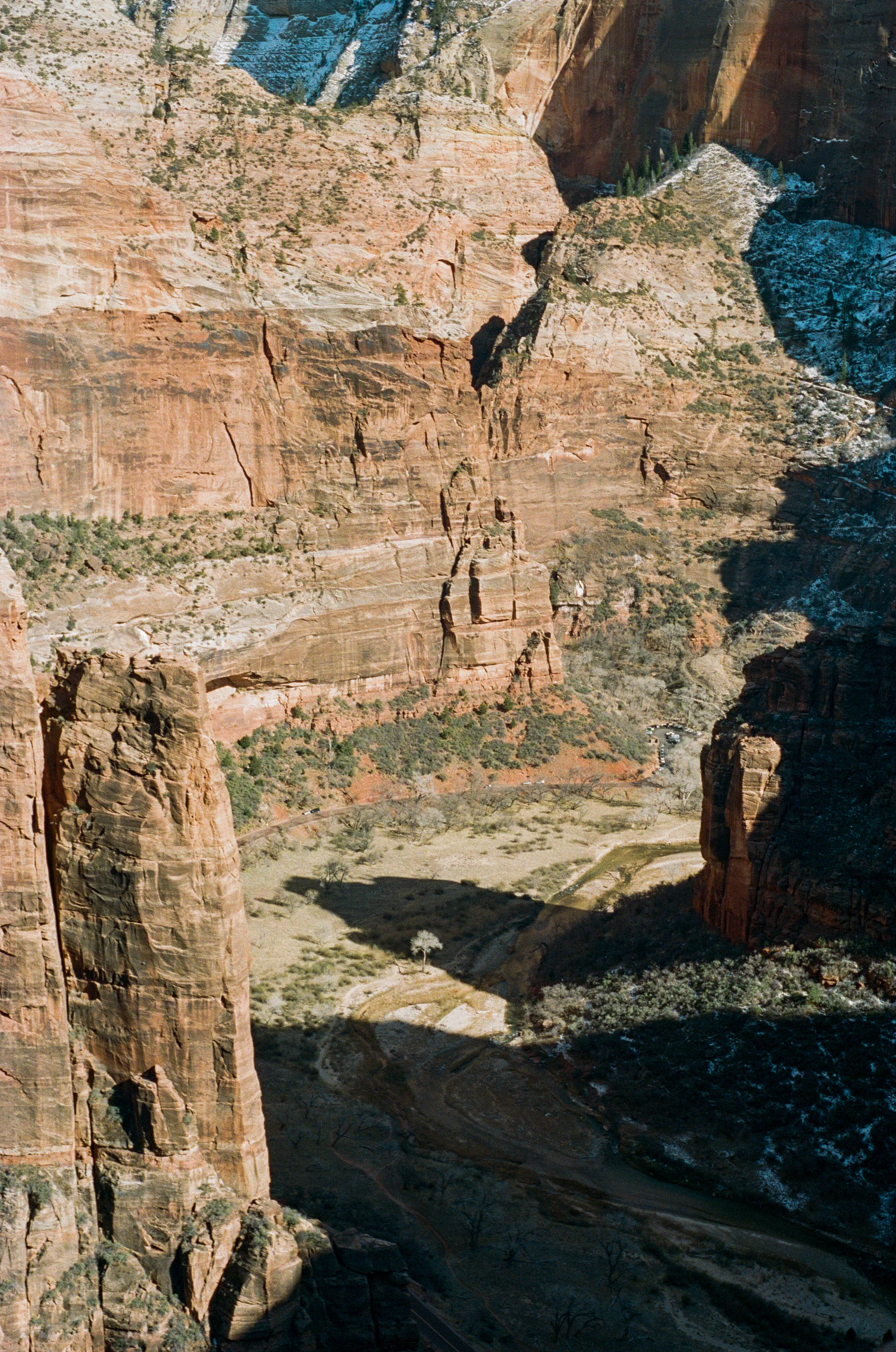zion-vertical.jpg