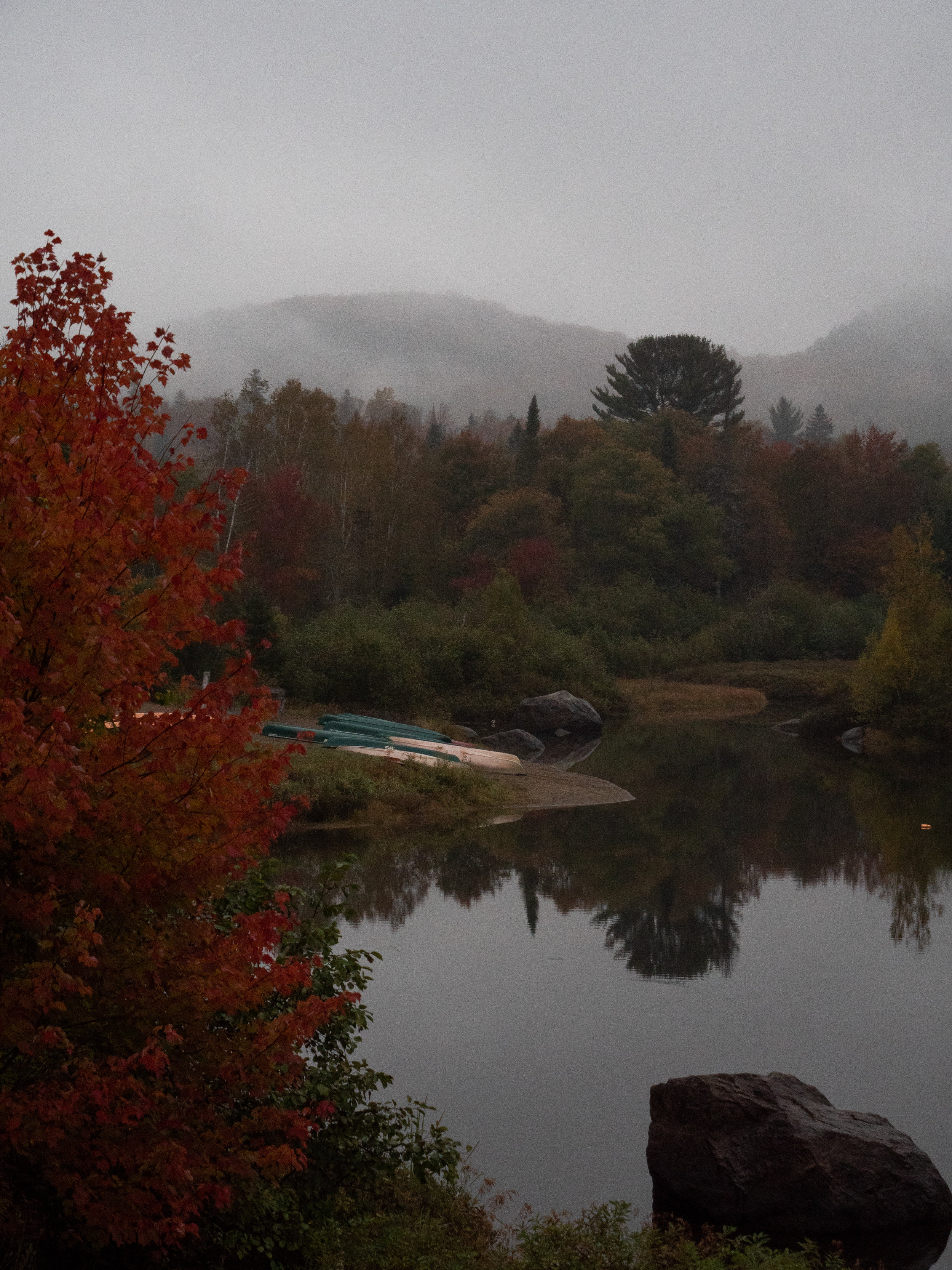 P1044435-2.jpg