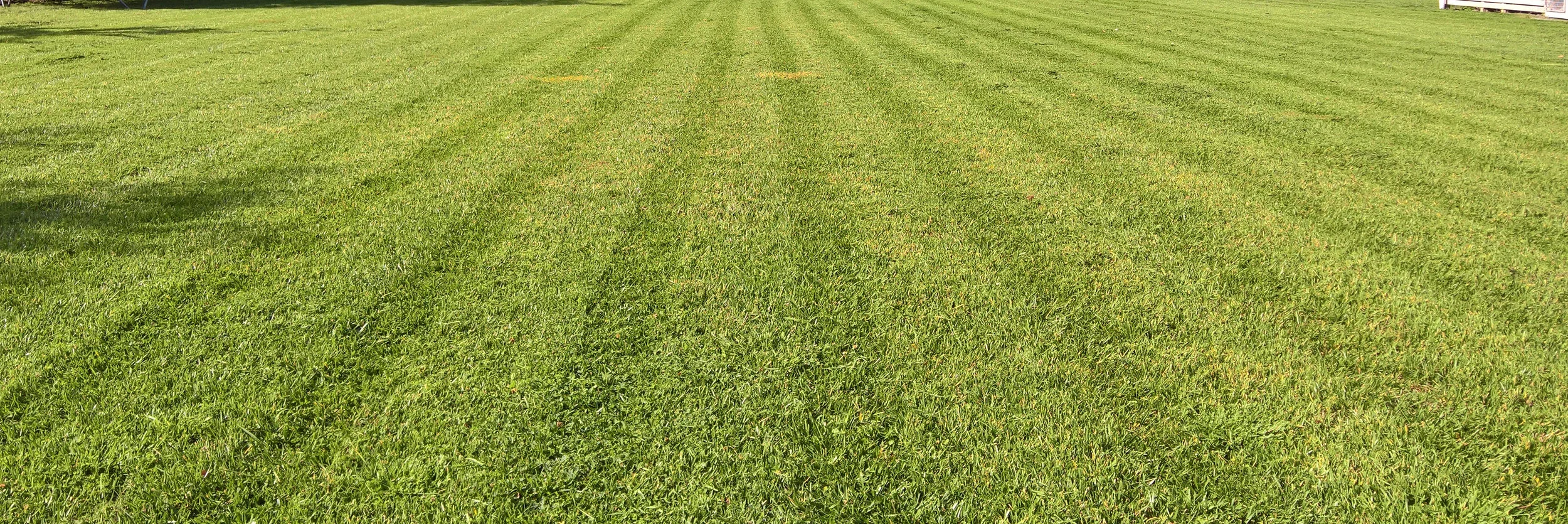 Banner-Lawnmowing.jpg