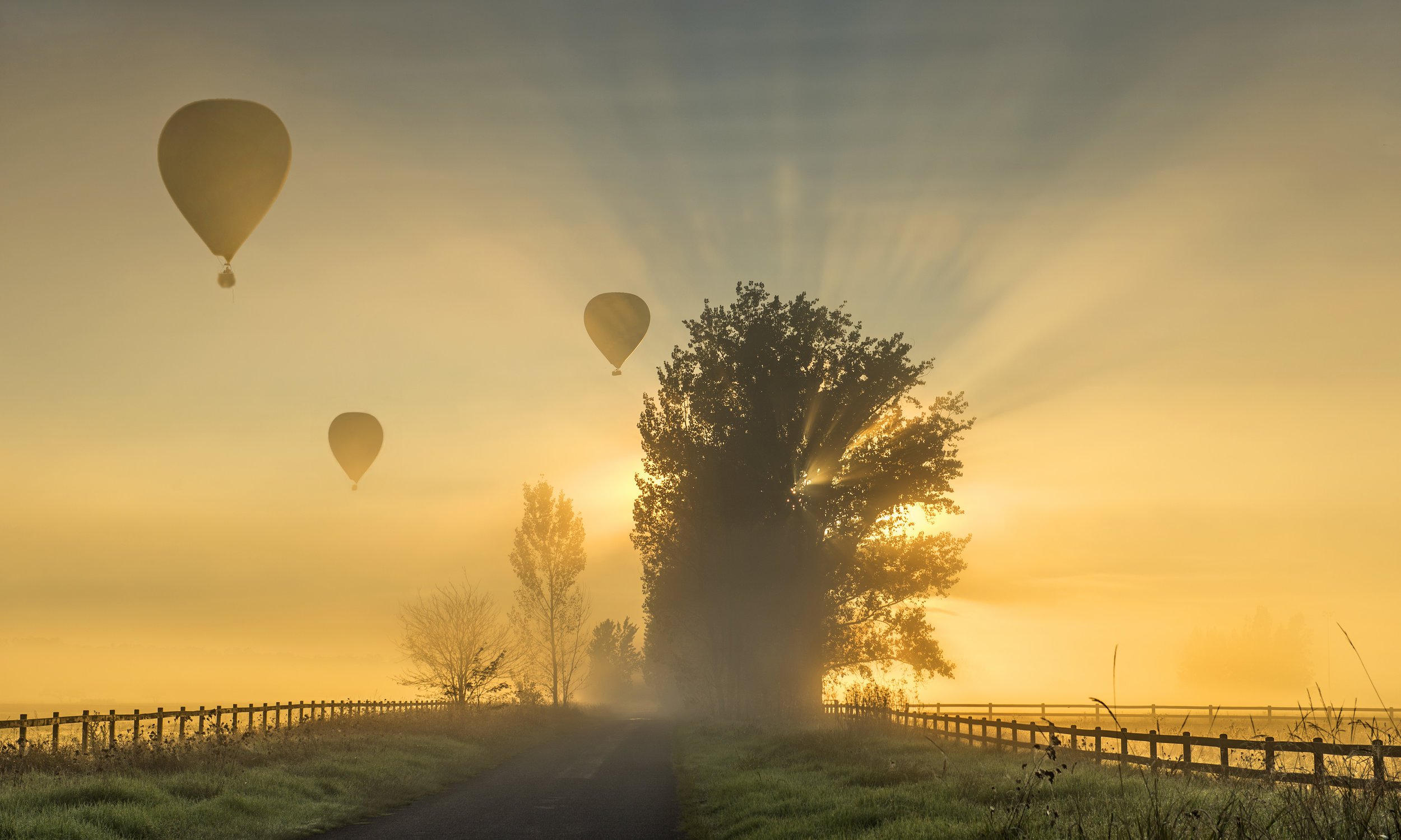 Hot air Balloons.jpg