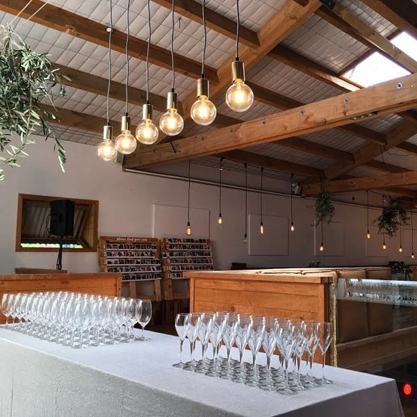 6 drop light chandelier .jpg